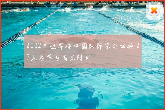 2002年世界杯中国队阵容全回顾 23人名单与高光时刻