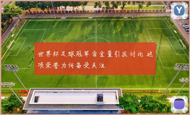世界杯足球冠军含金量引发讨论 这项荣誉为何备受关注