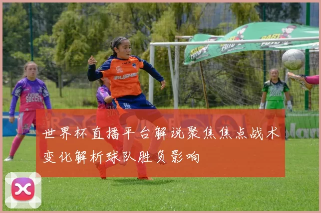 世界杯直播平台解说聚焦焦点战术变化解析球队胜负影响