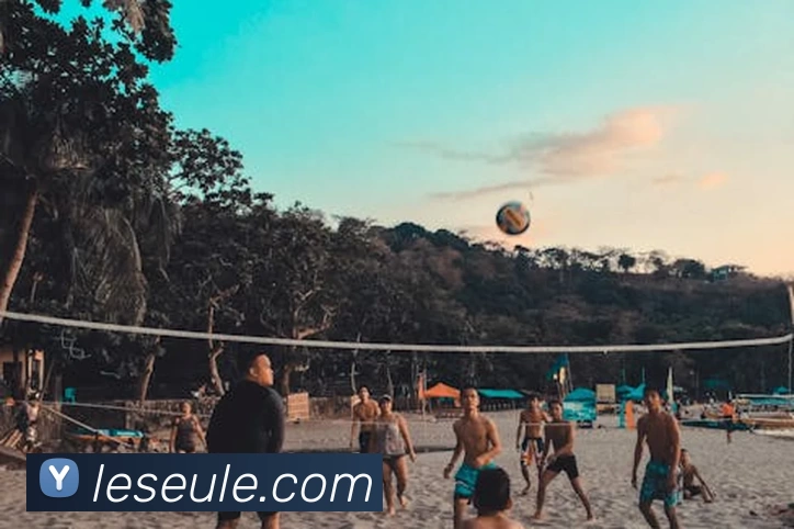 星空网页版官网入口服务体系